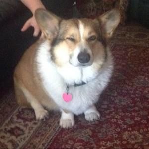 Meet your Posher, Lexie